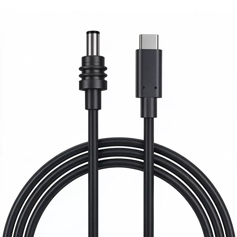 Cable de alimentación Starlink Mini DC a cable USB C